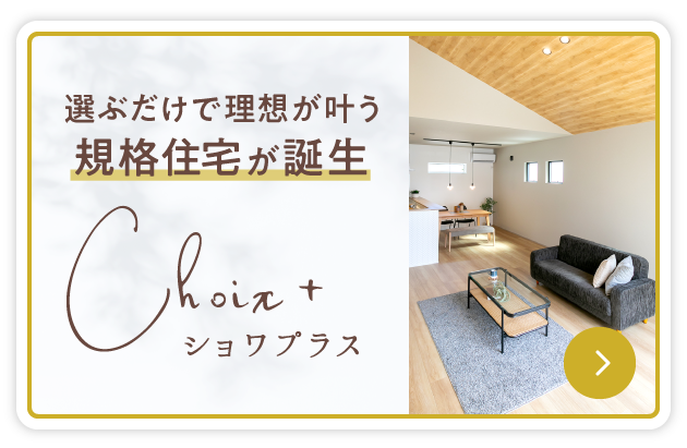 お得なキャンペーン中 ショワプラス